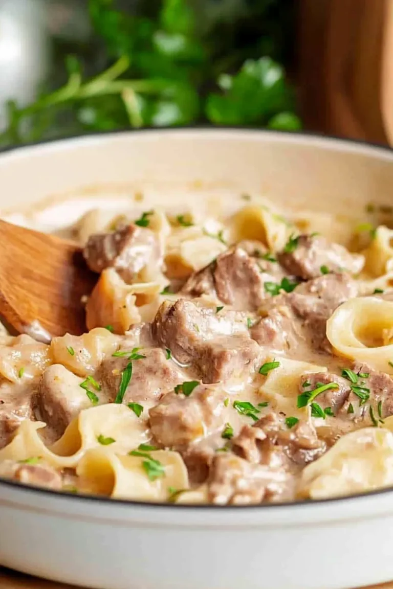 Crock Pot Beef Stroganoff with Noodles