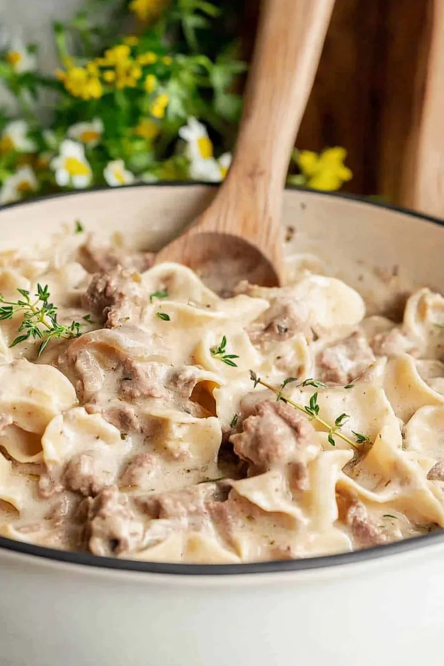 Crock Pot Beef Stroganoff